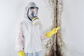 Best Mold Odor Removal Services  in North Miami, FL